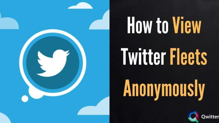 How to View Twitter Fleets anonymously