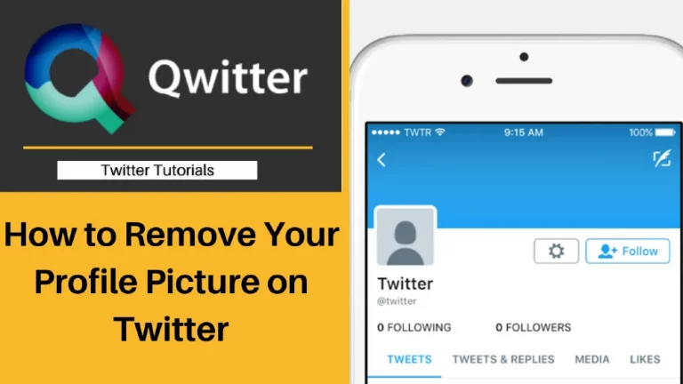 How to Remove Your Profile Picture on Twitter