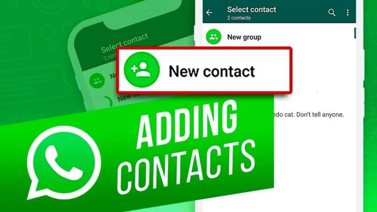 How to Add a Contact to WhatsApp using the Chats tab or a QR code